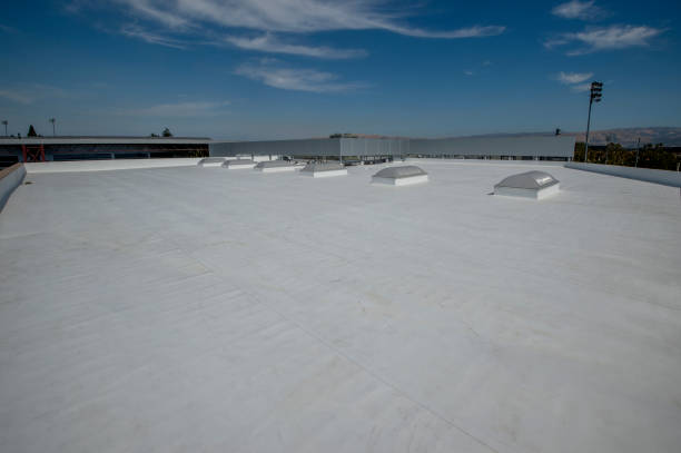 Best Asphalt Shingle Roofing  in Eastpointe, MI