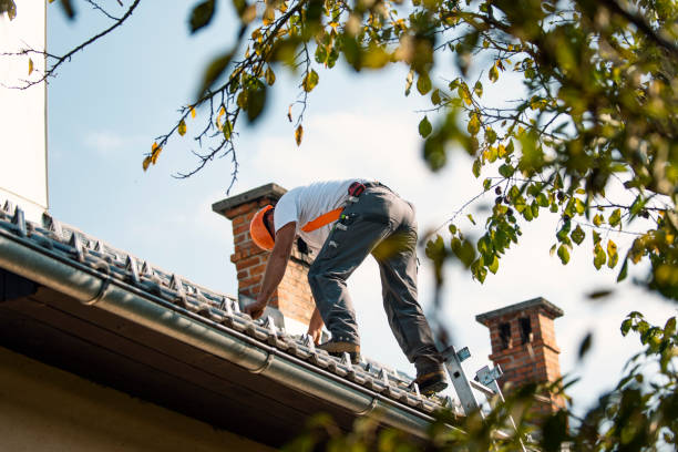 Trusted Eastpointe, MI Roofing Service Experts
