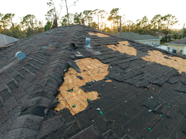 Best Rubber Roofing (EPDM, TPO)  in Eastpointe, MI
